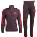 Bayern Munich training bench Soccer tracksuit 2024/25 - Adidas-0