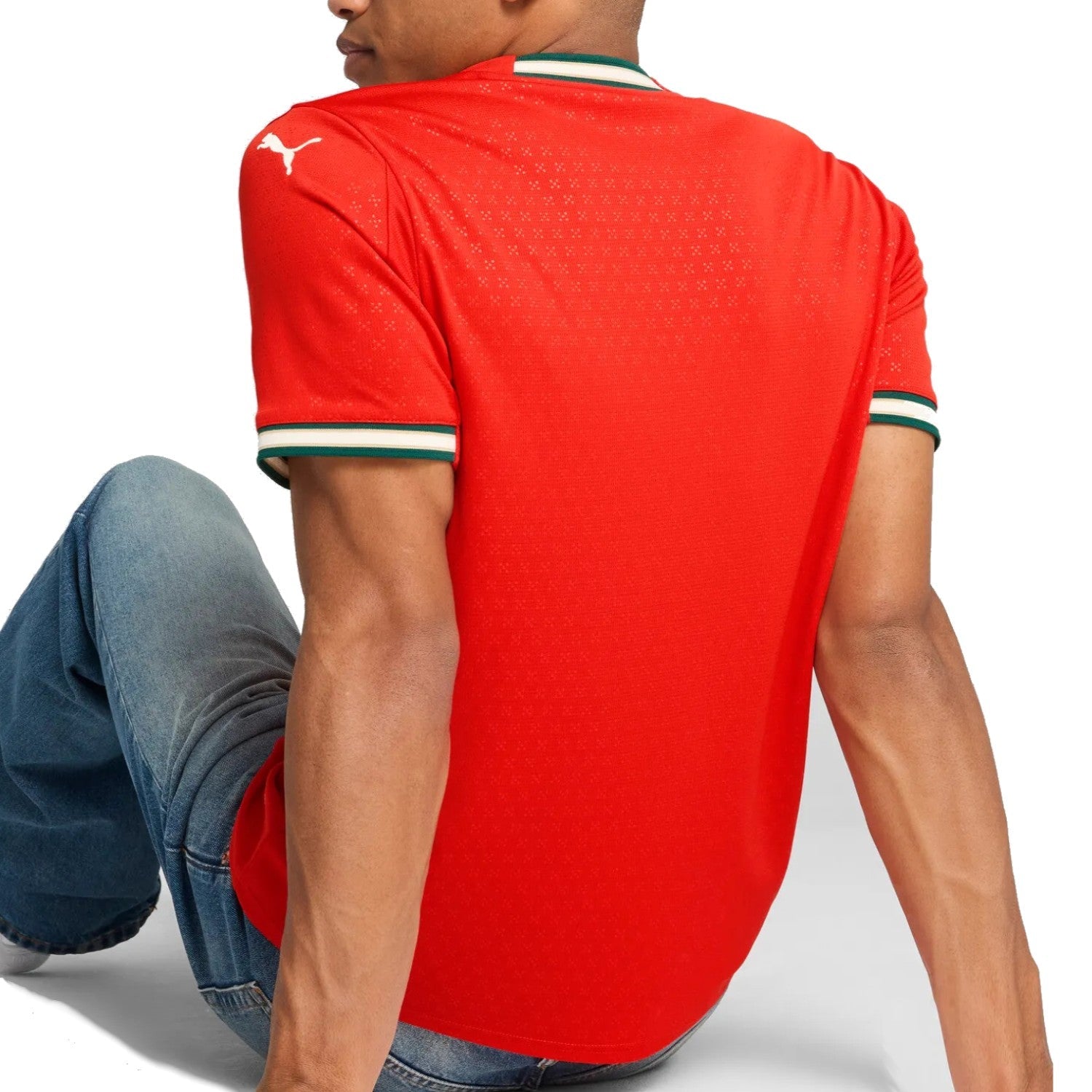 Portugal national team Home soccer jersey 2025/26 - Puma