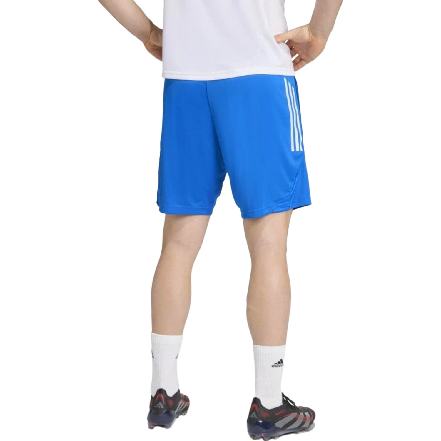 Real Madrid UCL training short-sleeves Soccer set 2025/26 - Adidas